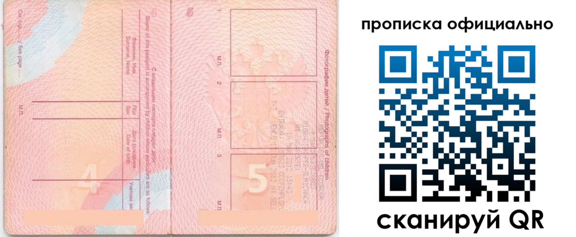прописка для школы в Можайске